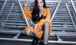 吃瓜网官网免费观看 明星黑丝袜穿搭,免费观看，黑丝袜穿搭解析